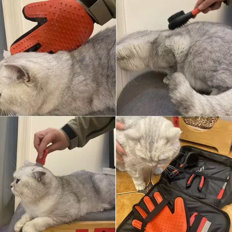 Kit di Toelettatura per Cani P - House Hair Care recensione e prezzo